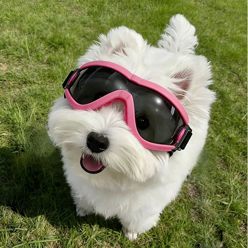 Dog Goggles for Small Medium D - Sunglass Retainer Cord 评论和价格